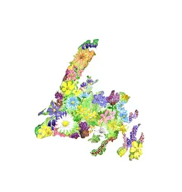 Sarah Duggan NL Wild Greeting Card