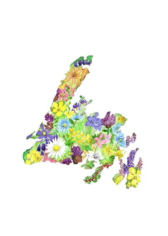 Sarah Duggan NL Wild Greeting Card