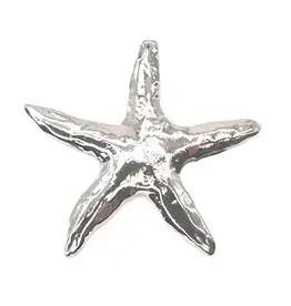 Shag Wear Starfish Brooch-Silver