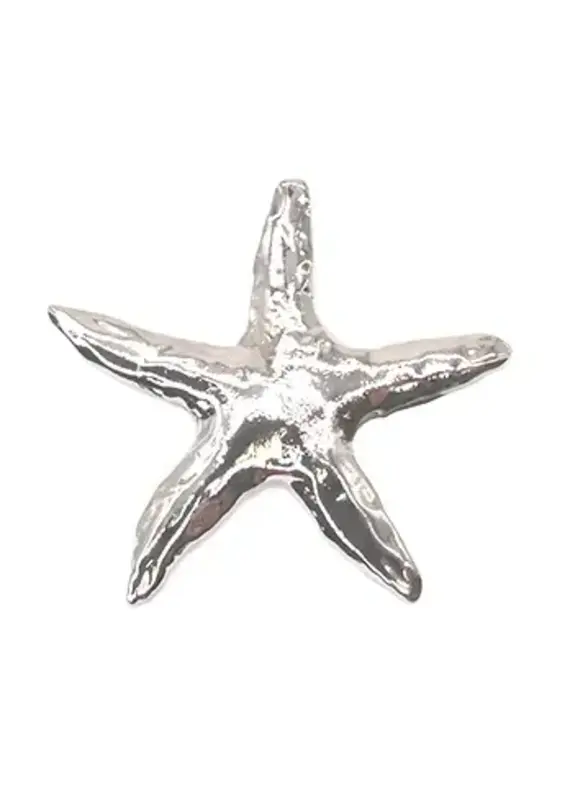 Shag Wear Starfish Brooch-Silver