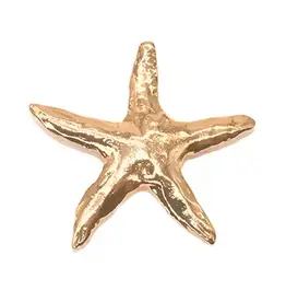 Shag Wear Starfish Brooch-Gold