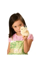 Folkmanis Puppets Mini Chickadee Finger Puppet