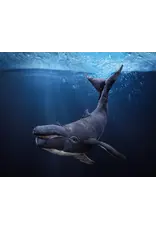 Folkmanis Puppets Humpback Whale