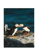 Kara O'Keefe Puffin Love-Postcard-5x7