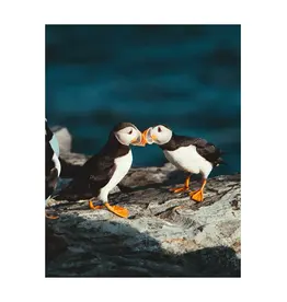 Kara O'Keefe Puffin Love-Postcard-5x7