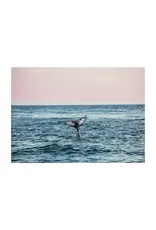 Kara O'Keefe Humpback at Sunset-Postcard-5x7