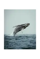 Kara O'Keefe Out of The Blue-Postcard-5x7