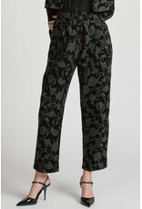 Orion Pant -Floral
