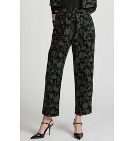 Orion Pant -Floral