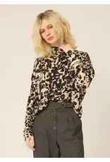 Cokluch Polly-Black Leo