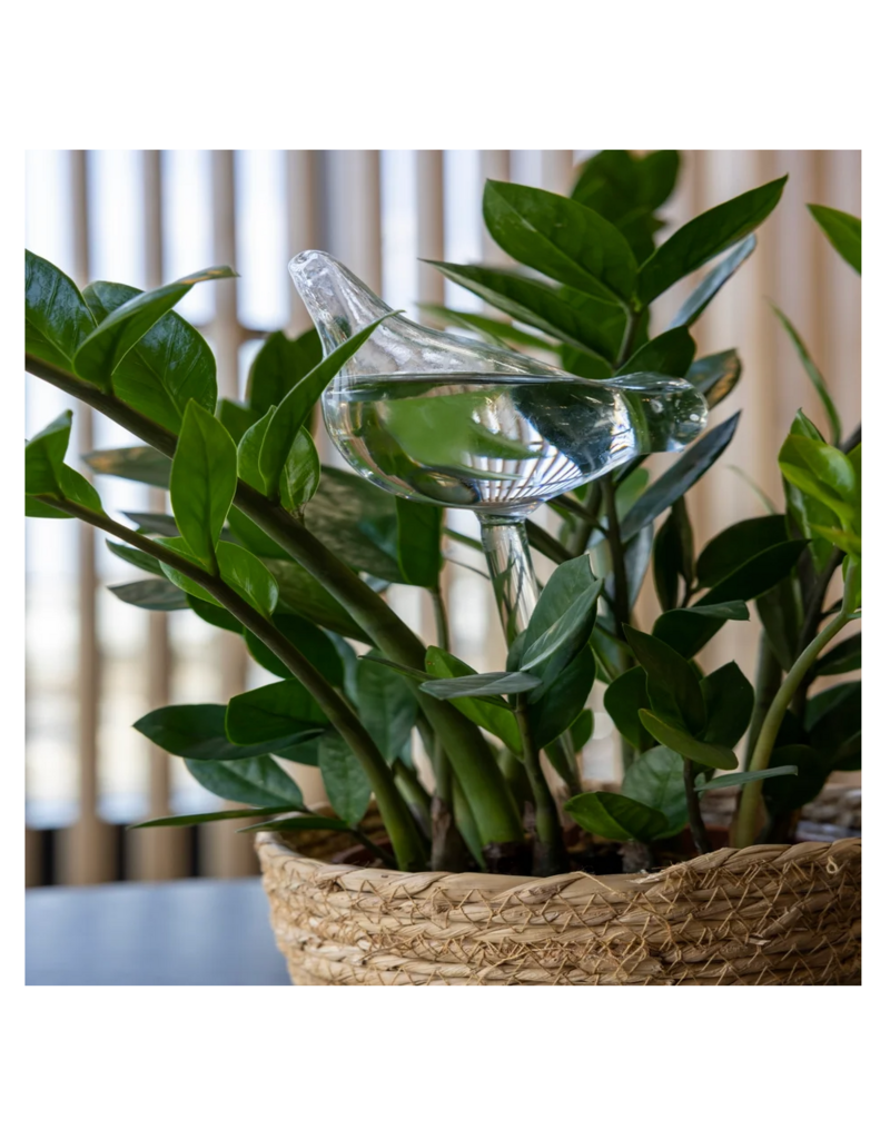North American Country Home Glass Plant Waterer-Bird