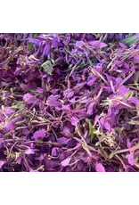 East Coast Glow Supernatural-Bioactive Botanical Concentrate