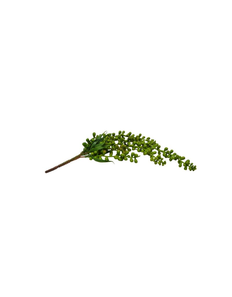 Nostalgia GREENERY