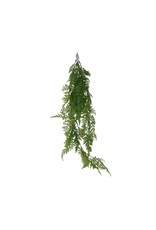 Nostalgia FERN
