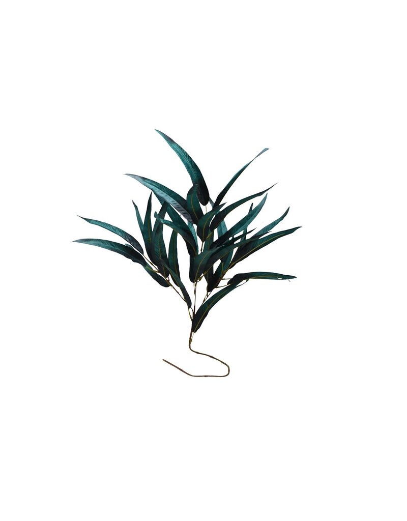 Nostalgia ROD GREEN