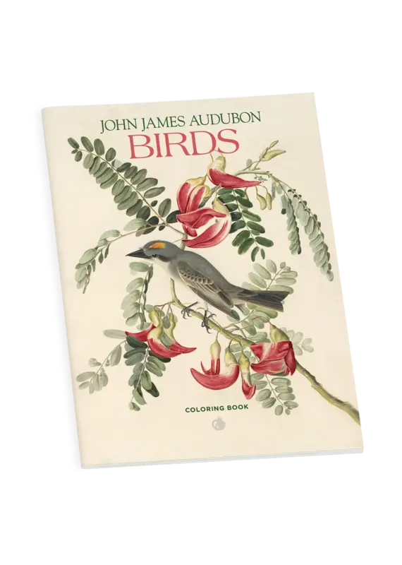 Pomegranate John James Audubon: Birds Coloring Book