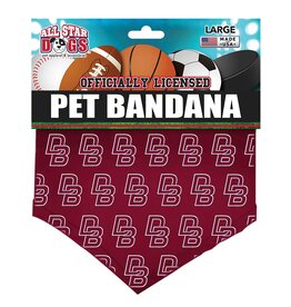All Star Dogs DogBandana