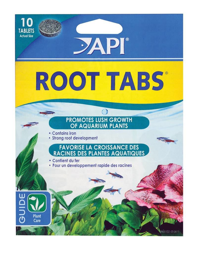 API API Root Tabs - 10pk