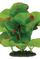 Marina Marina Naturals Green Moneywort Foreground Silk Plant - Small - 12.5 - 15 cm (5-6in)