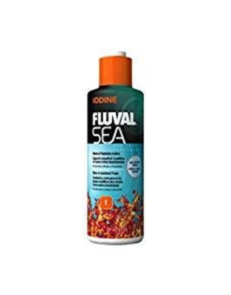 Fluval Fluval Sea Iodine - 237 mL