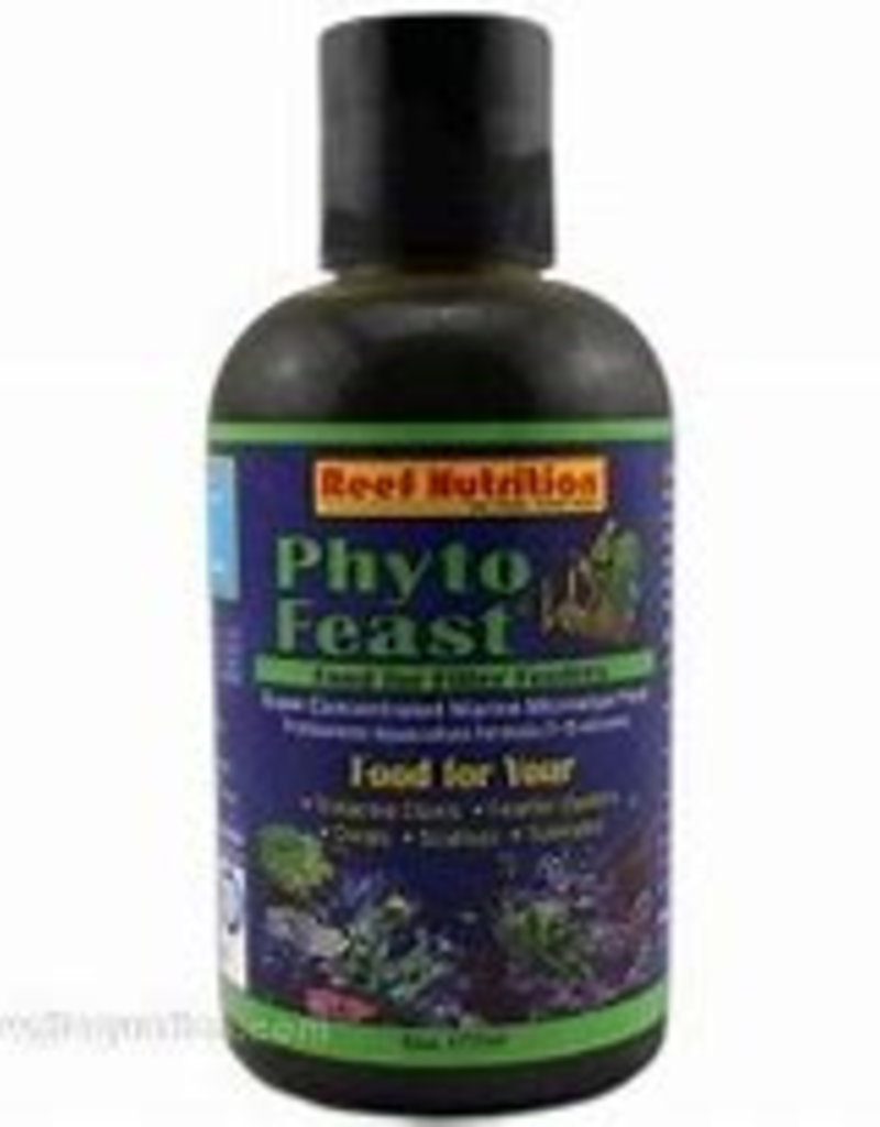 Reef Nutrition Reef Nutrition Phyto-Feast Live 6oz