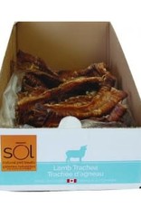 sōl Bulk - Lamb Trachea - 1pc.