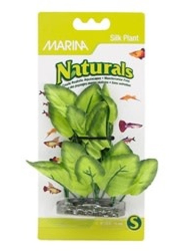Marina Marina Naturals Green Foreground Silk Plant - 12.5 - 15 cm (5-6")