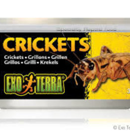 Exo Terra Exo Terra Canned Crickets - 34 g (1.2 oz)