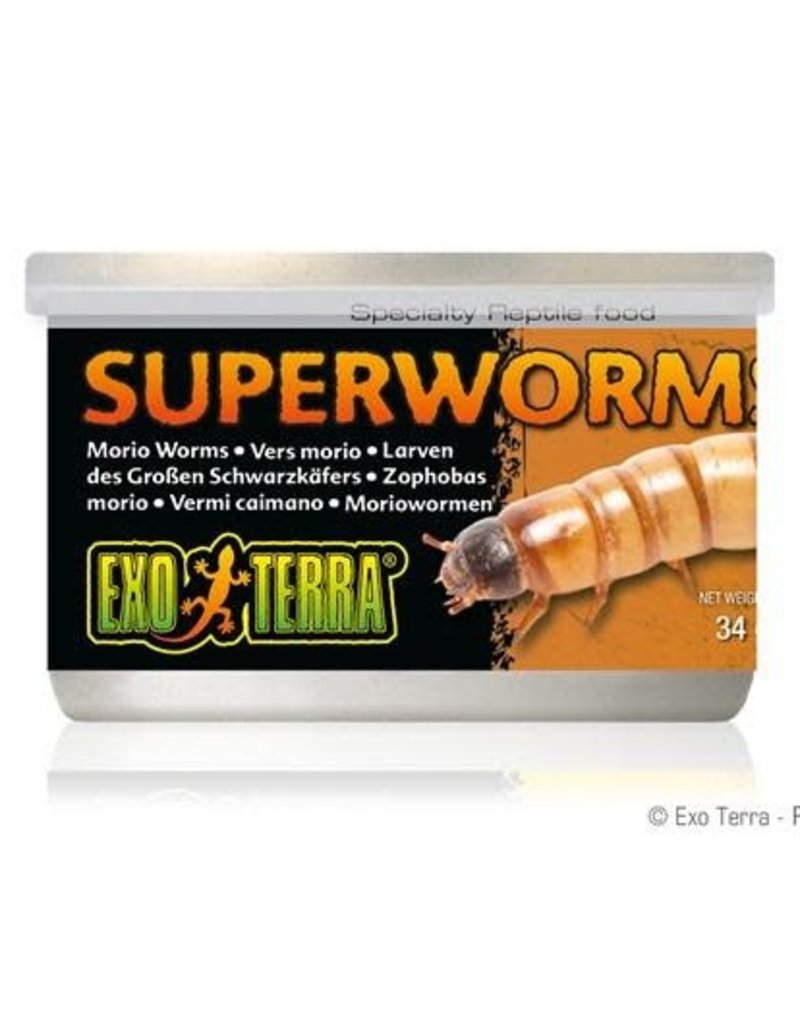 Exo Terra Exo Terra Canned Superworms - 34 g (1.2 oz)