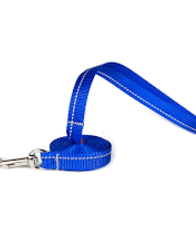 RC Pets RC Pets Primary Kitty Leash 6ft. Royal Blue