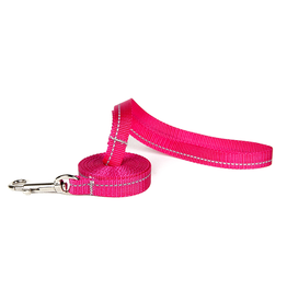 RC Pets RC Pets Primary Kitty Leash 6ft. Raspberry