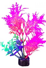 Marina Marina iGlo Plant 5.5 in GPP-0908