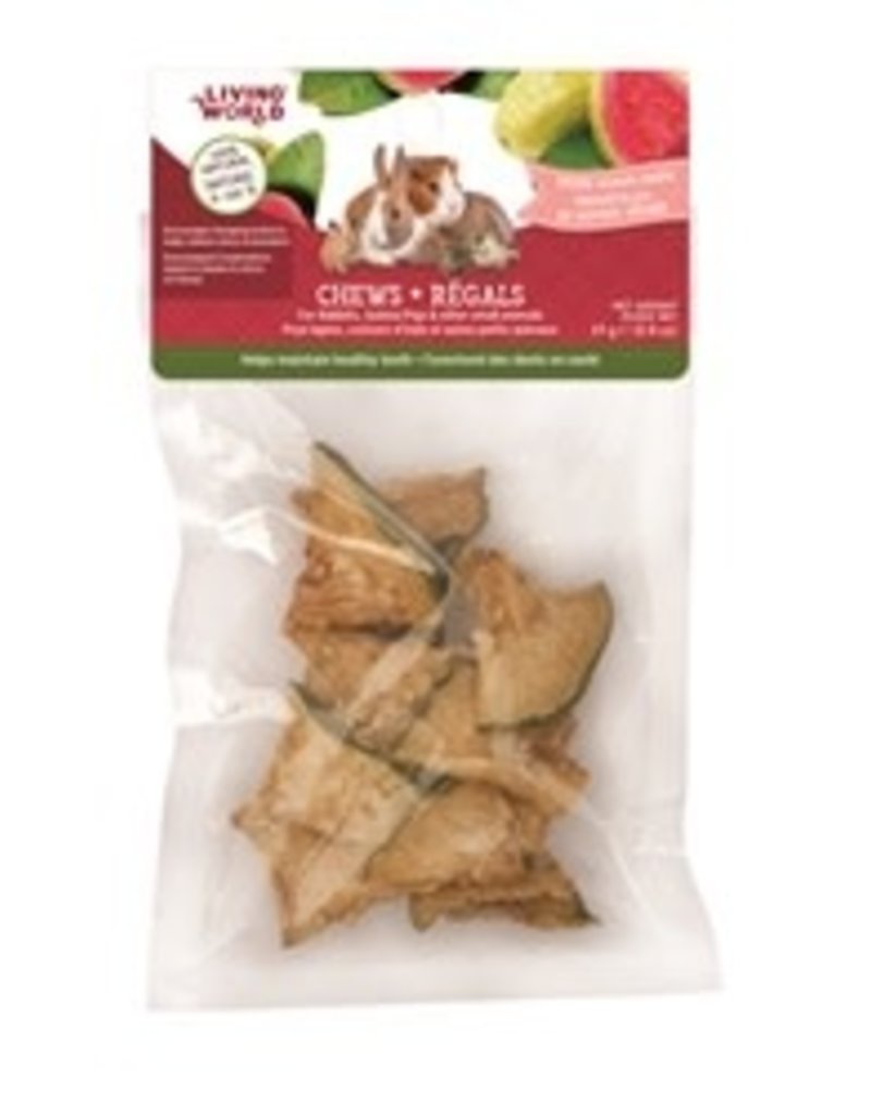 Living World Small Animal Chews - Dried Guava Chips -25 g