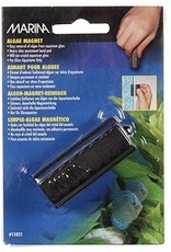 Marina Marina Algae Magnet - Medium