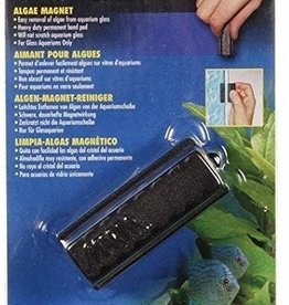Marina Marina Algae Magnet - Medium