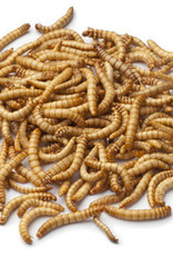 Mealworms singles