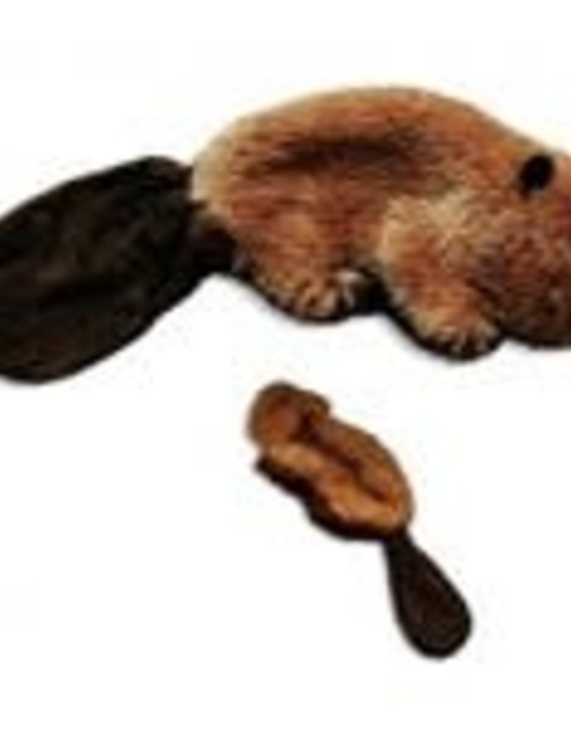 kong beaver
