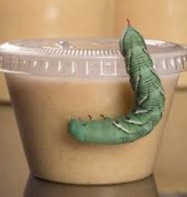 Hornworm Food 16oz