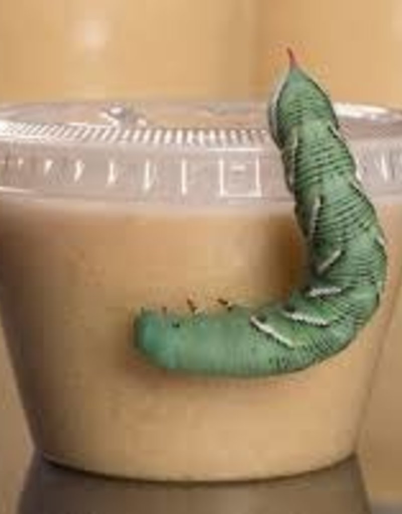 Hornworm Food 16oz