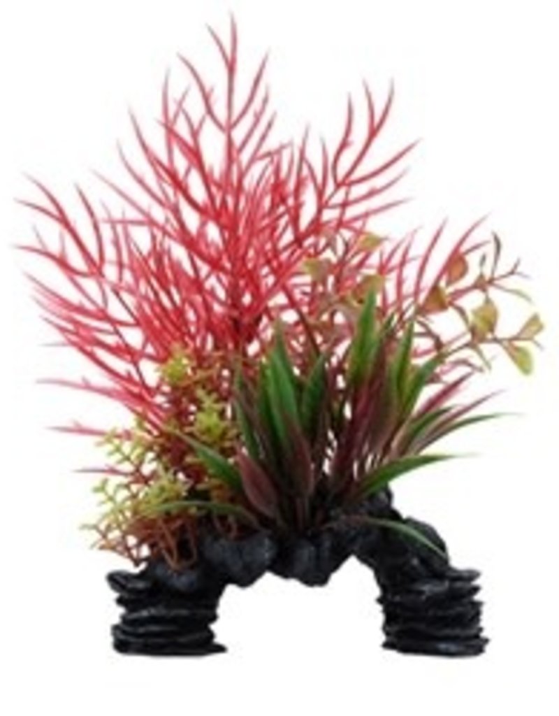 Fluval Fluval Aqualife Deco Scapes Red Wisteria Mix - 15-20 cm (6-8 in)