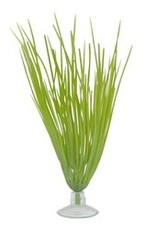 Marina Marina Betta Kit Hairgrass Plant With Suction Cup - 12.7 cm (5")