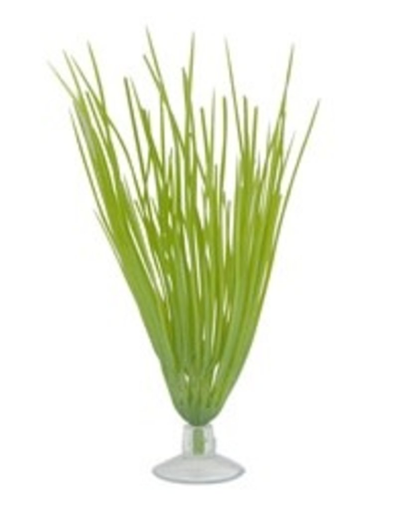 Marina Marina Betta Kit Hairgrass Plant With Suction Cup - 12.7 cm (5")