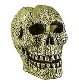 GloFish Ornament Skull