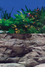 Underwater Treasures White Stone River/Rock Wall Reversible Background - 20"