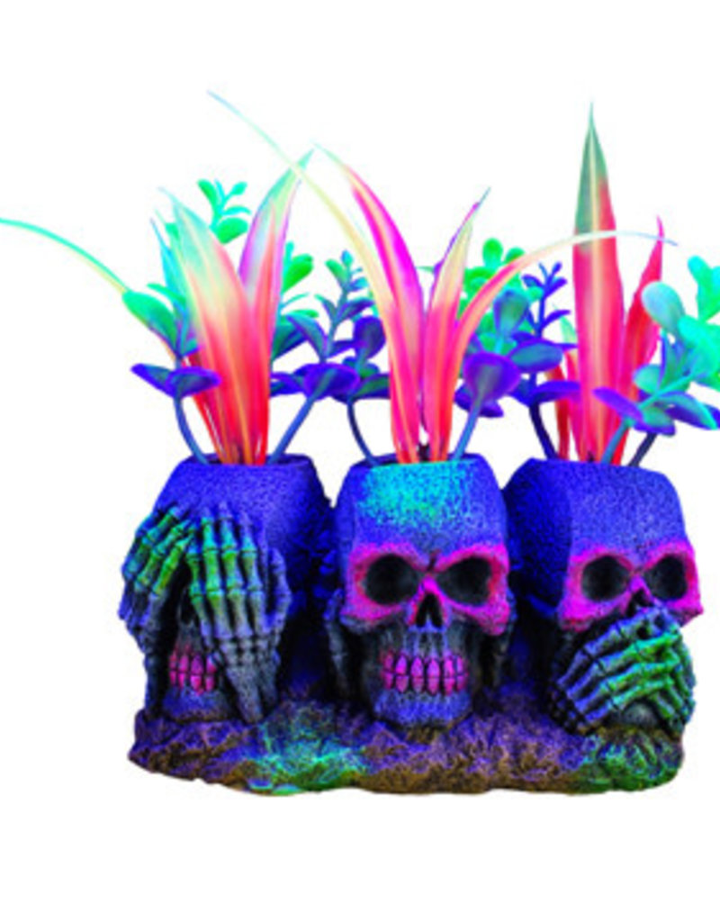 Marina Marina iGlo Ornament - 3 Skulls with Plants 5.5"