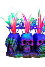Marina Marina iGlo Ornament - 3 Skulls with Plants 5.5"