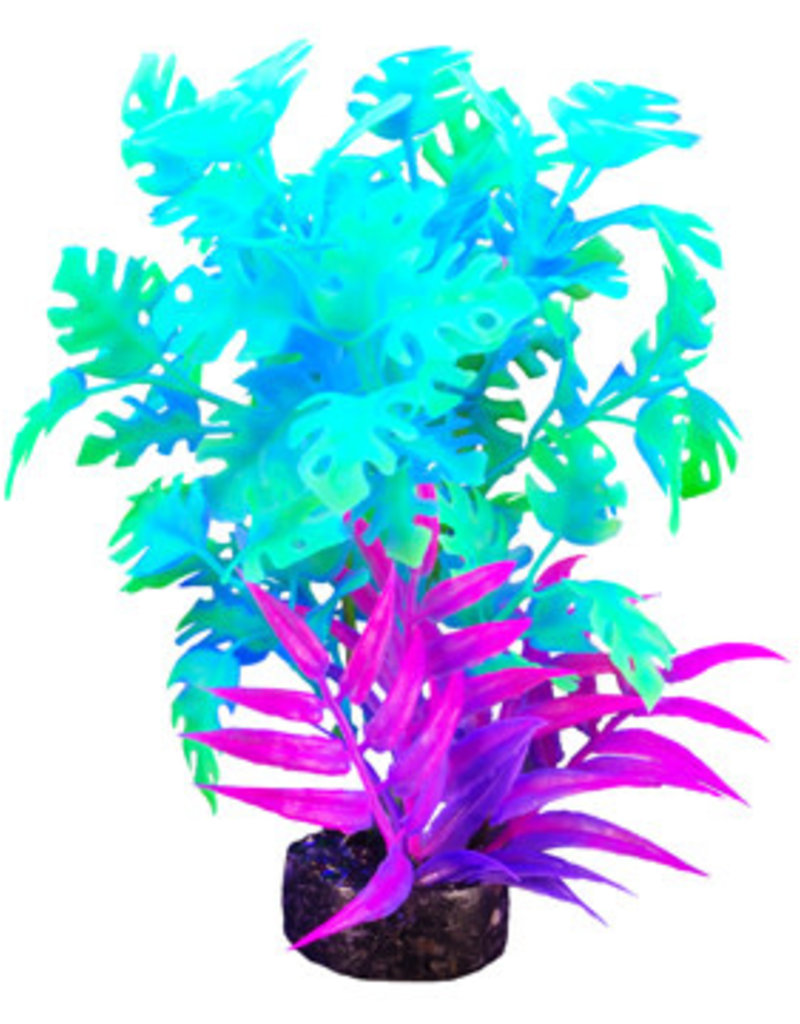 Marina Marina iGlo Plant 5.5 in GPP-0908