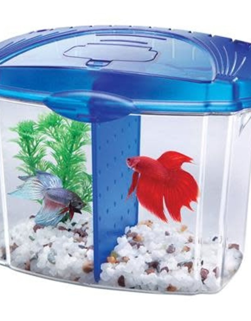 Aqueon Aqueon Betta Bowl Aquarium Kit - Blue - 0.5 Gal