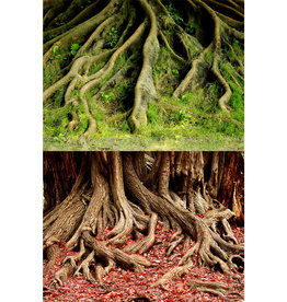 Amazon Root/Grassy Root Reversible Background - 20"