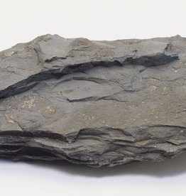 Slate Rock - Per Pound